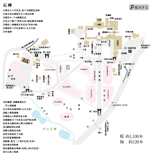 �����n�}