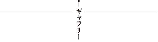 ギャラリー